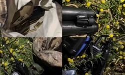 Yaban keçisi vuran 2 şahsa 981 bin TL ceza