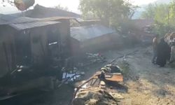 Yayla evinden ormana sıçrayan yangın söndürüldü
