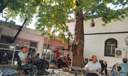 Mersin sıcağından kaçanlar asırlık çınarın altına koşuyor