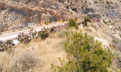 Mersin-Antalya Yolunda Yangın Riski İçin Temizlik Çağrısı