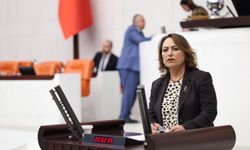 Müzeyyen Şevkin'den TBMM'de Madencilik Tepkisi
