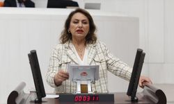 CHP'li Şevkin'den Meclis'te NATO Tepkisi