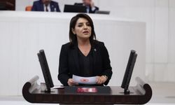Gülcan Kış: Saray harcıyor, emekli geçinemiyor