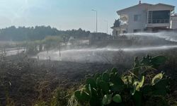 Arsuz'da otluk alan yangını