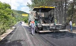 Gölcük Tabiat Parkı ile Dere Mahallesi arasındaki yol asfaltlanıyor