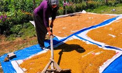 Kahramanmaraş'ta kışlık telaşı