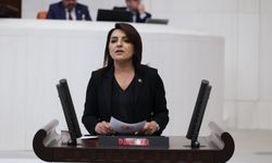 CHP'li Kış'tan TBMM'de Sert Faiz ve Borç Çıkışı