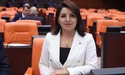 CHP'li Kış'tan Meclis'te Mersin Körfezi İsyanı