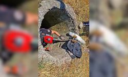 Kuyuya Düşen Keçi İçin İtfaiye Seferber Oldu