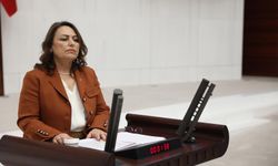 CHP’li Şevkin’den Bakan Çiftçi’ye Zeydan Karalar Tepkisi