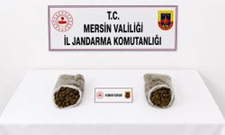 Yenişehir'de Torbalarca Esrarla Yakalanan 2 Kişi Tutuklandı