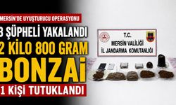 Mersin'de uyuşturucu operasyonunda 3 şüpheli yakalandı