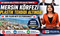 CHP'li Kış'tan Bakanlığa Mersin Körfezi Tepkisi