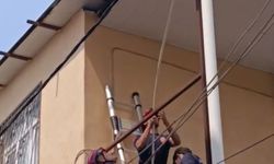 Adana'da tavana sıkışan güvercini itfaiye kurtardı