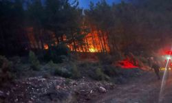 Alanya'da ormanlık alanda çıkan yangın kontrol altına alındı