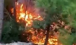 Alanya'da yıldırımın düşmesiyle yangın çıktı: 1 dönüm alan zarar gördü