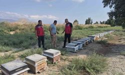 Antakya'da arıcılar bal sağımını sürdürüyor