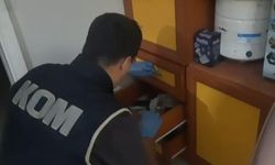 Hatay'da 'Çapinler' ve 'Sasunlu' gruplarına yönelik eş zamanlı operasyon: 16 şüpheli yakalandı