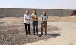 Kahramanmaraş'ta ay çekirdeği hasadı