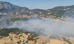 Kaş'ta ormanlık alanda yangın