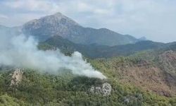 Kemer'de orman yangını