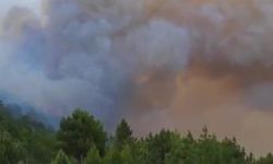 Manavgat'taki yangının enerjisi düşürüldü