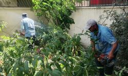 Mersin' de park ve yeşil alanlarda bakım çalışmaları sürüyor
