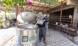 Mersin'de üreticiye yüzde 50 hibeli süt soğutma tankı desteği