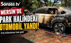 Orman ekipleri, yanan otomobili görüp söndürdü