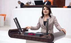 CHP’li Gülcan Kış’tan Enflasyon Rakamlarına Tepki