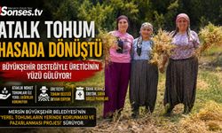 Gülnar’da Atalık Nohut Hasadı Yapıldı