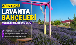 Gülnar’da Mor Bahçeler Turistlerin İlgi Odağı Oldu