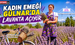 Kadın Emeği Gülnar'da Lavanta Açıyor