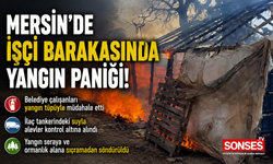 Mersin'de seranın yanındaki barakada yangın paniği