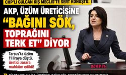 Tarsuslu üzüm üreticisine 11 liralık fiyat şoku