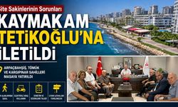 Erdemli Sahillerindeki Sorunlar Kaymakamlıkta