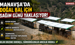 Manavşa’da Doğal Bal İçin Sağım Günü Yaklaşıyor