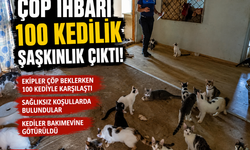 Mersin'de 'çöp ev' ihbarından yaklaşık 100 kedi çıktı