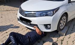 Antakya ve İskenderun'da araçlarda mahsur kalan kediler kurtarıldı