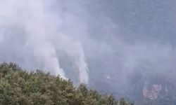 Hatay'daki orman yangınının enerjisi düşürüldü