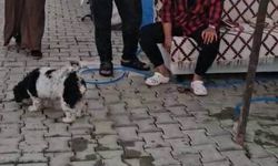 Konteyner kentte imam nikahlı koca dehşeti: Karısı ve kızıyla birlikte toplam 4 kişiyi palayla yaraladı