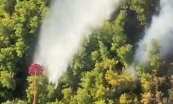 Manavgat'taki orman yangını kontrol altına alındı