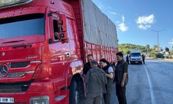 Mersin'de orman suçlarına karşı yol kontrolü