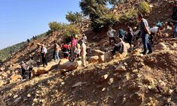 Sepetli motosiklet uçurumdan uçtu: 3 yaralı