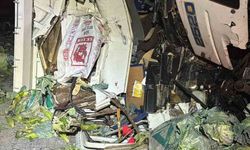 Tarsus-Pozantı otoyolunda kamyon ile tır çarpıştı: 1 ölü