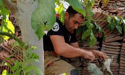 Vanaya sıkışarak mahsur kalan yavru kedi, itfaiye ekiplerinin çalışmasıyla kurtarıldı