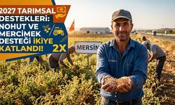 Çiftçiye Büyük Müjde: Nohut ve Mercimek Desteği İki Kat Oldu!