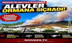 Bozyazı’da yangın kontrolden mi çıkıyor?