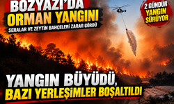 Mersin İtfaiyesi Ateşle Savaşıyor