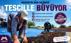 Yerel ürünler tek tek tescilleniyor